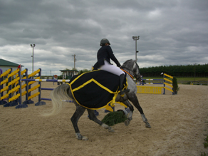 Victory Gallop